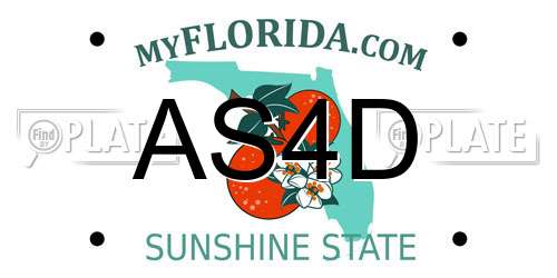 AS4D Florida License Plate