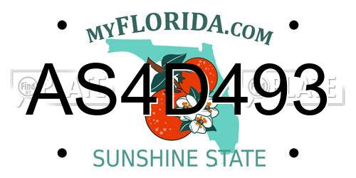 AS4D493 Florida License Plate