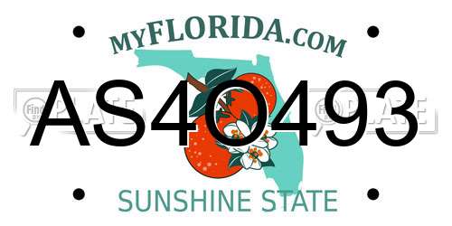AS4O493 Florida License Plate