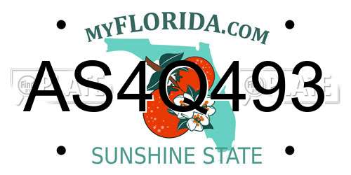 AS4Q493 Florida License Plate