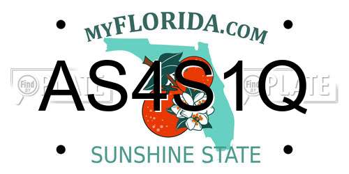 AS4S1Q Florida License Plate