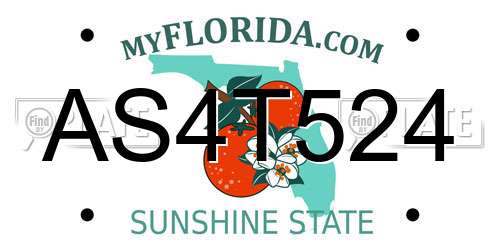 AS4T524 Florida License Plate