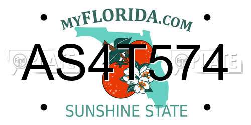 AS4T574 Florida License Plate