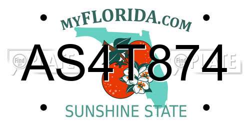 AS4T874 Florida License Plate