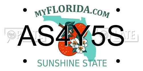 AS4Y5S Florida License Plate