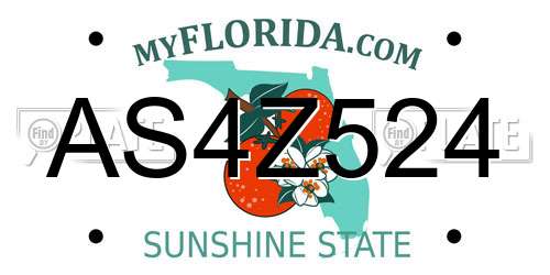 AS4Z524 Florida License Plate