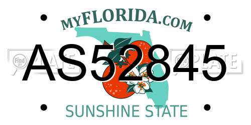AS52845 Florida License Plate