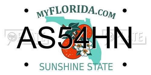 AS54HN Florida License Plate