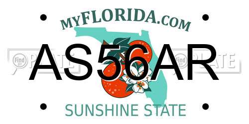 AS56AR Florida License Plate