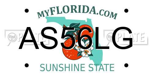 AS56LG Florida License Plate
