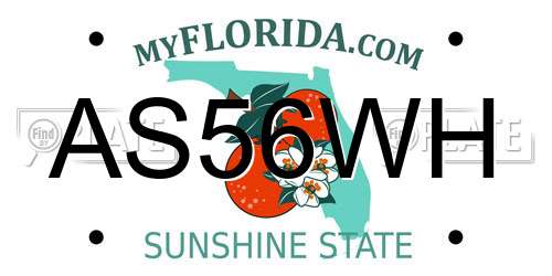 AS56WH Florida License Plate