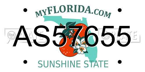 AS57655 Florida License Plate