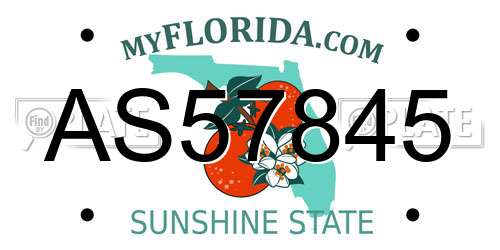 AS57845 Florida License Plate