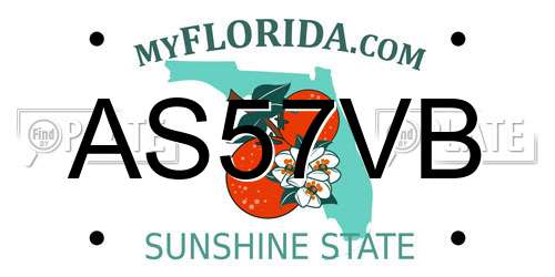 AS57VB Florida License Plate