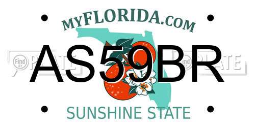 AS59BR Florida License Plate