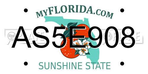 AS5E908 Florida License Plate