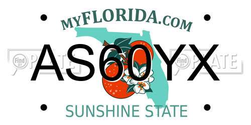 AS60YX Florida License Plate
