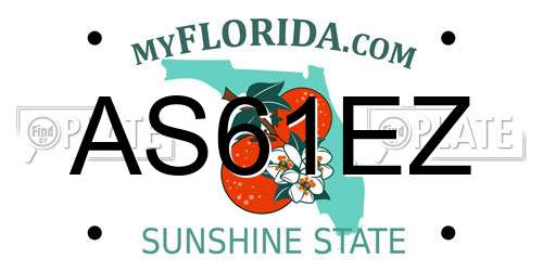 AS61EZ Florida License Plate