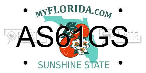 AS61GS Florida License Plate