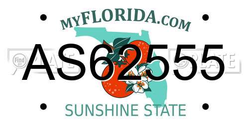 AS62555 Florida License Plate