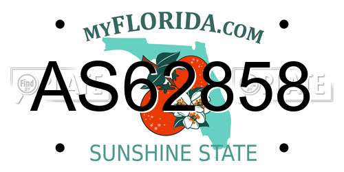 AS62858 Florida License Plate
