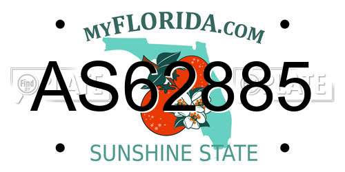 AS62885 Florida License Plate
