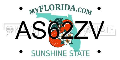 AS62ZV Florida License Plate