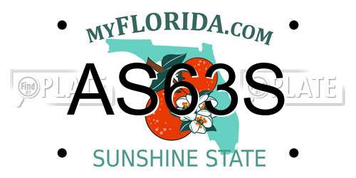 AS63S Florida License Plate