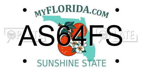 AS64FS Florida License Plate