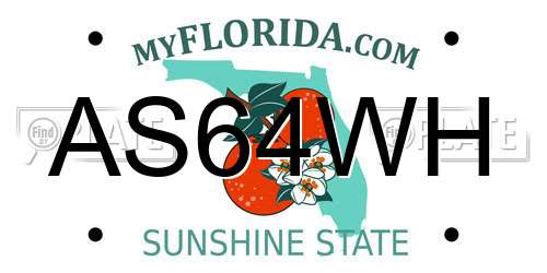 AS64WH Florida License Plate