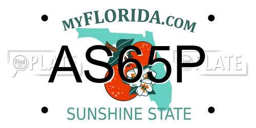 AS65P Florida License Plate
