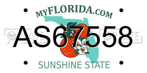 AS67558 Florida License Plate