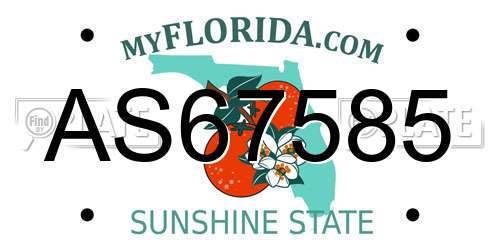 AS67585 Florida License Plate
