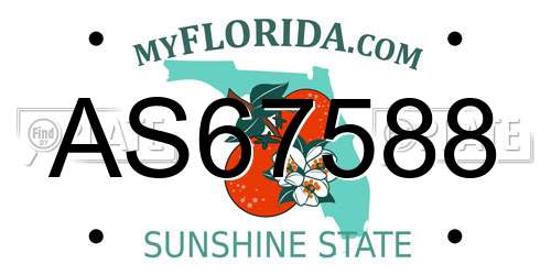 AS67588 Florida License Plate