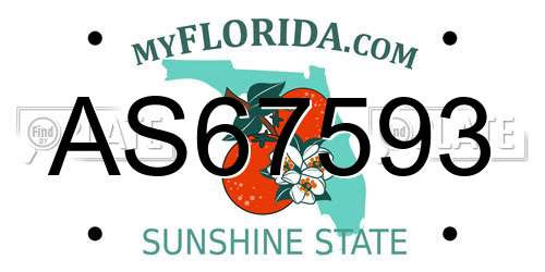 AS67593 Florida License Plate