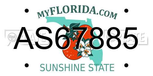 AS67885 Florida License Plate