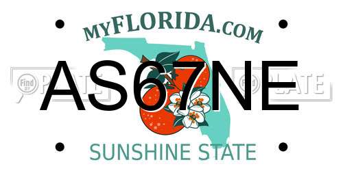 AS67NE Florida License Plate