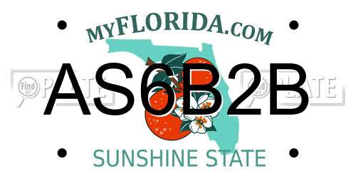 AS6B2B Florida License Plate