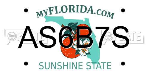 AS6B7S Florida License Plate