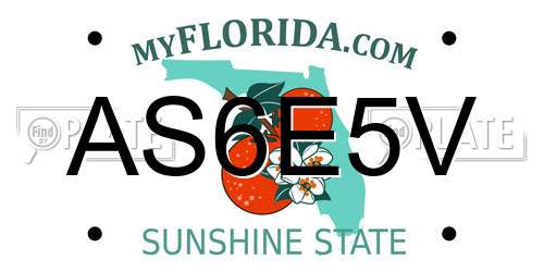 AS6E5V Florida License Plate