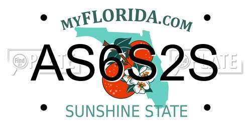 AS6S2S Florida License Plate