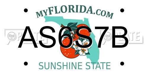 AS6S7B Florida License Plate
