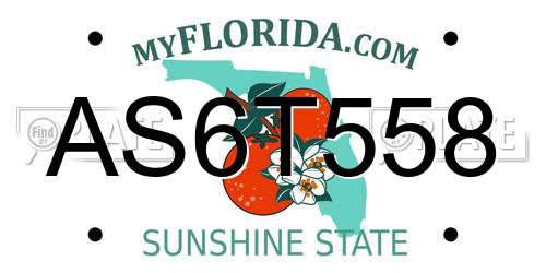 AS6T558 Florida License Plate
