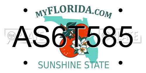 AS6T585 Florida License Plate