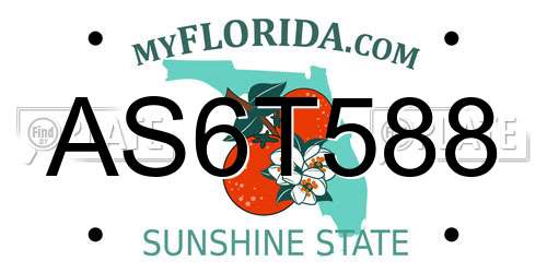 AS6T588 Florida License Plate