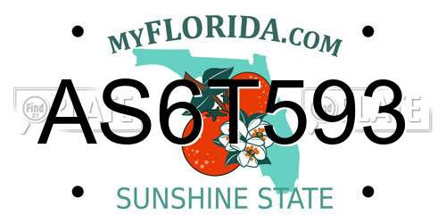 AS6T593 Florida License Plate