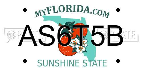 AS6T5B Florida License Plate