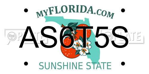 AS6T5S Florida License Plate