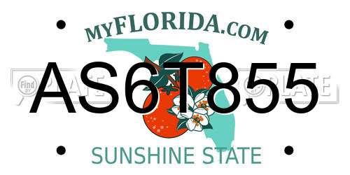 AS6T855 Florida License Plate