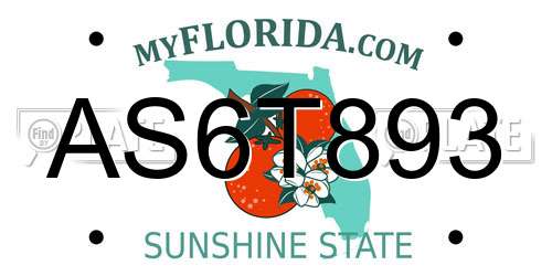 AS6T893 Florida License Plate